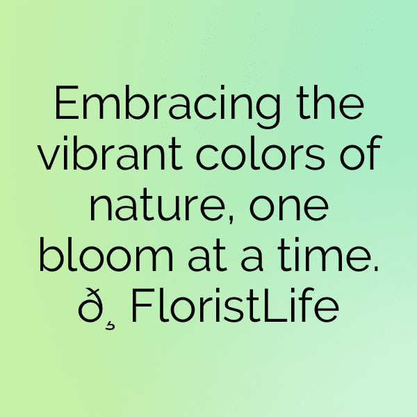 Gerbera Captions Photo For Instagram-6gv9fk