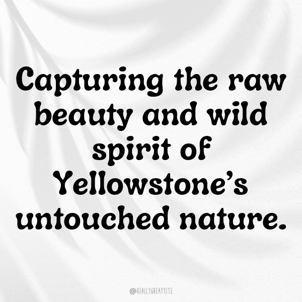 Geyser Watching Captions Photo for Instagram-BJ6JPg