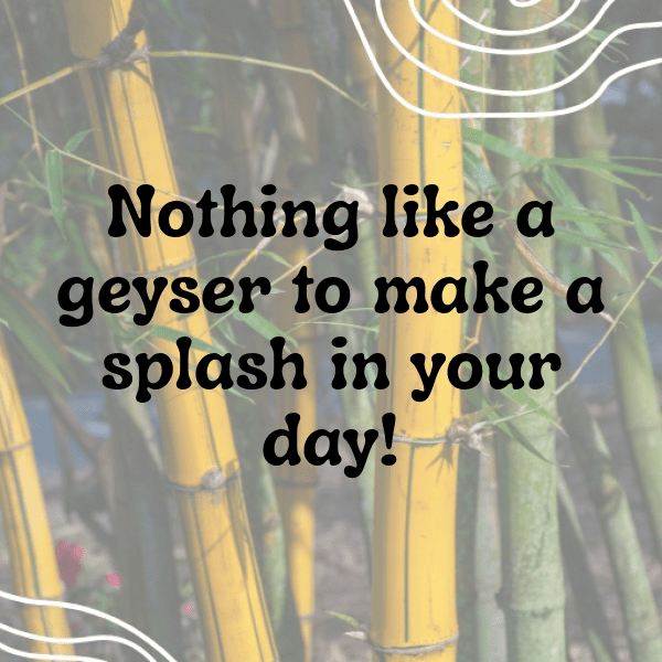 Geyser Watching Captions Photo for Instagram-V6amky