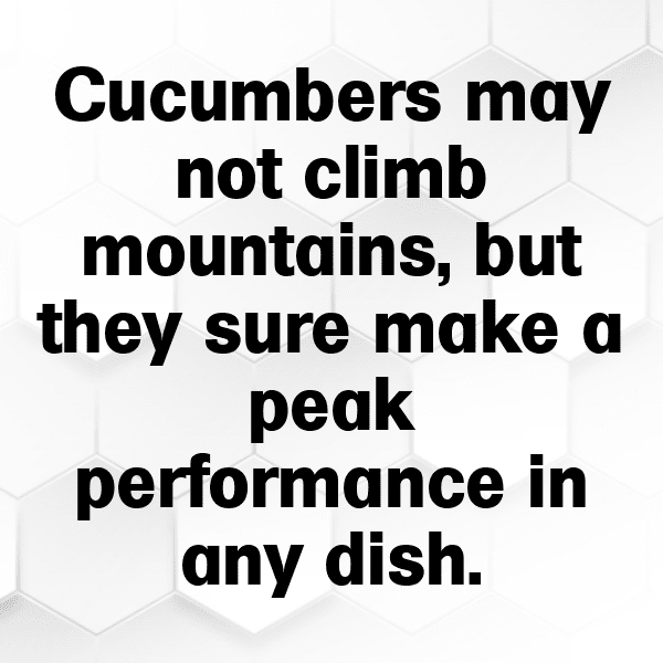 Gherkin Captions Image For Instagram-0JtVPv