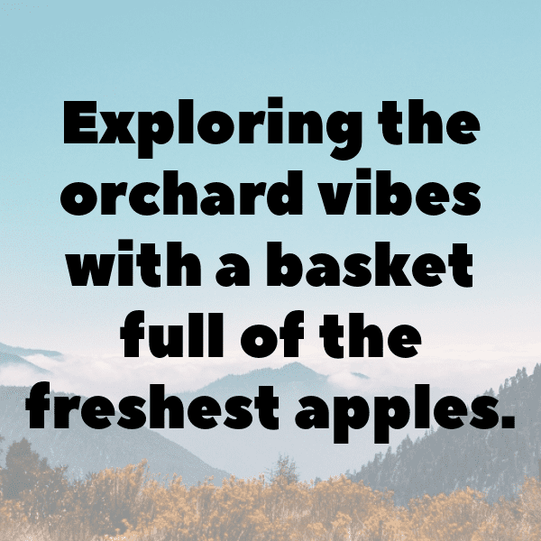 Gherkin Captions Image For Instagram-oO4lkv