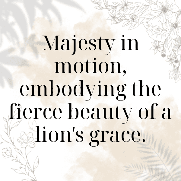 Giraffe Captions Photo For Instagram-81vOWF