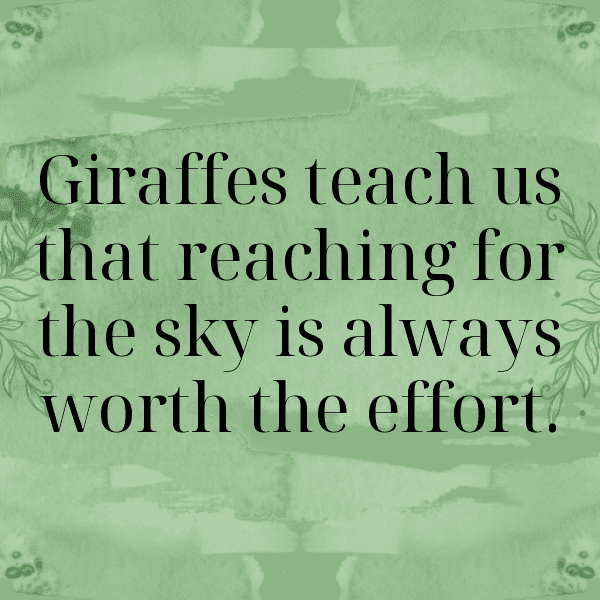 Giraffe Captions Photo For Instagram-d0yzhW