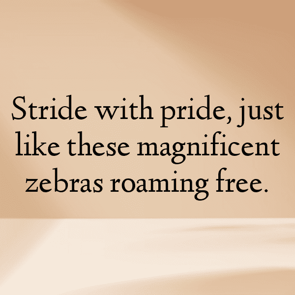 Giraffe Captions Photo For Instagram-HQsnvG