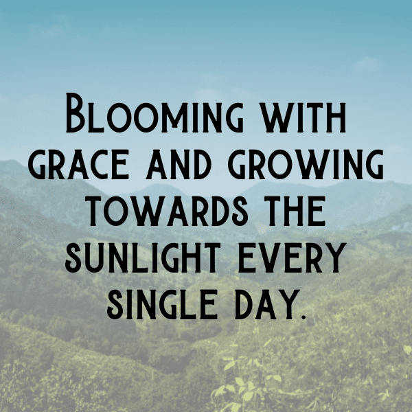 Gladiolus Captions Image For Instagram-LH4ket