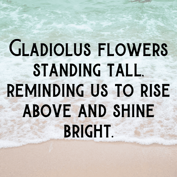 Gladiolus Captions Image For Instagram-NS7Ov5