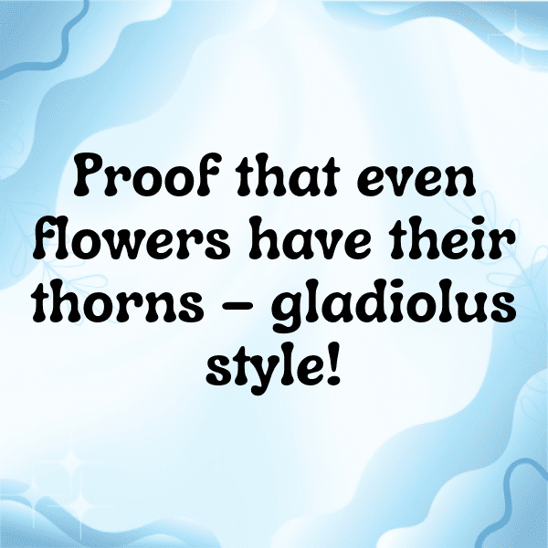 Gladiolus Captions Photo For Instagram-OVwzhg