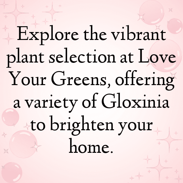 Gloxinia Captions Image For Instagram-8oBrIW