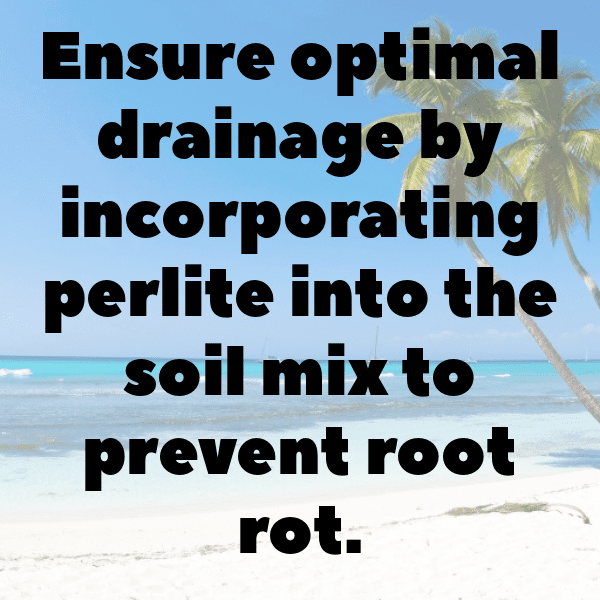 Gloxinia Captions Image For Instagram-adDTqO