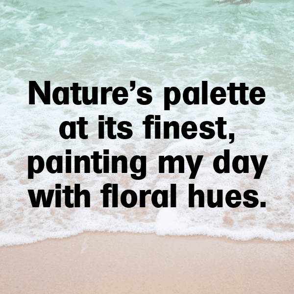 Gloxinia Captions Image For Instagram-gJ27KW