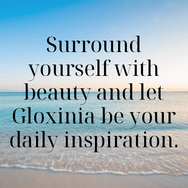 Gloxinia Captions Image For Instagram-Kx4p8A