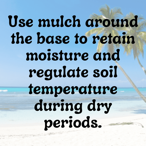 Gloxinia Captions Photo For Instagram-pY4xZy