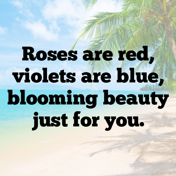 Gloxinia Captions Photo For Instagram-Sejb7R