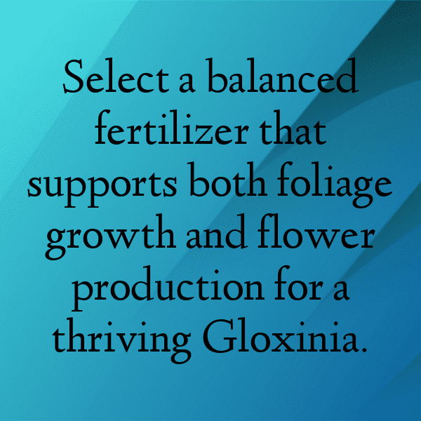 Gloxinia Captions Photo For Instagram-zzFdNs