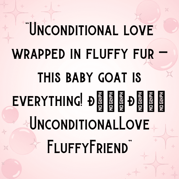 Goat Captions Image For Instagram-u0VAQy