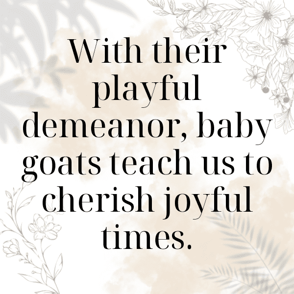 Goat Captions Photo For Instagram-FWWRfC