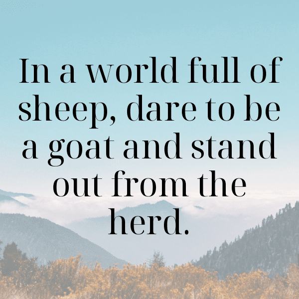 Goat Captions Photo For Instagram-tPRXFY