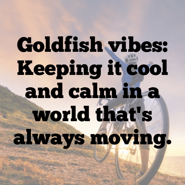 Goldfish Captions Image For Instagram-6zaaAM