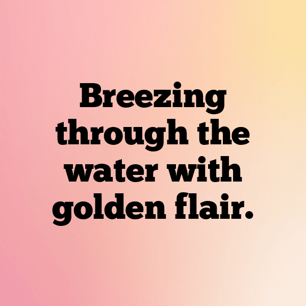 Goldfish Captions Image For Instagram-7t0vv1