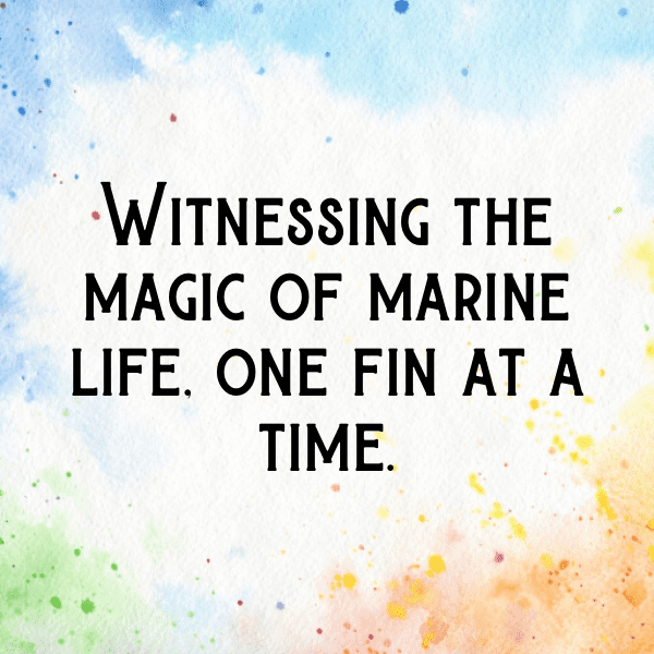 Goldfish Captions Photo For Instagram-6kA0jj