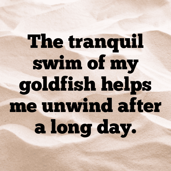 Goldfish Captions Photo For Instagram-XEife2