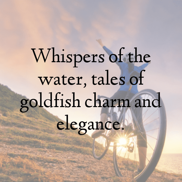 Goldfish Captions Photo For Instagram-zE7xPF