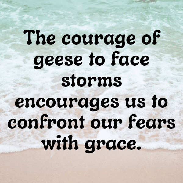 Goose Captions Image For Instagram-6STjsz