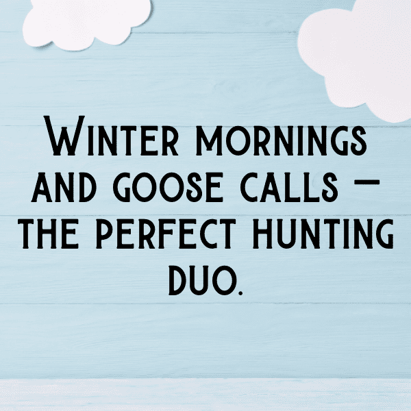 Goose Captions Image For Instagram-smHMhh