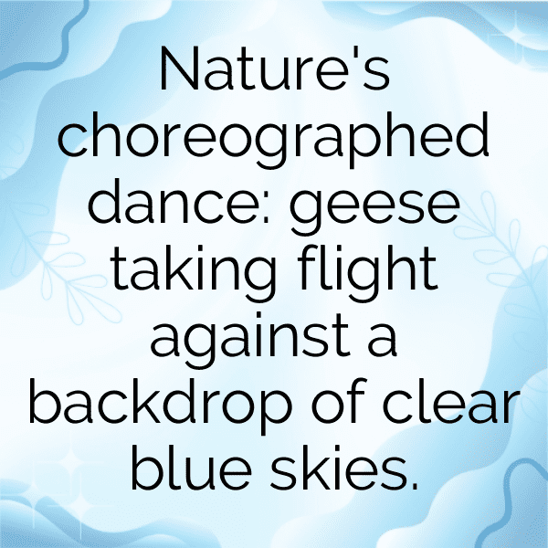 Goose Captions Image For Instagram-vkAWpk