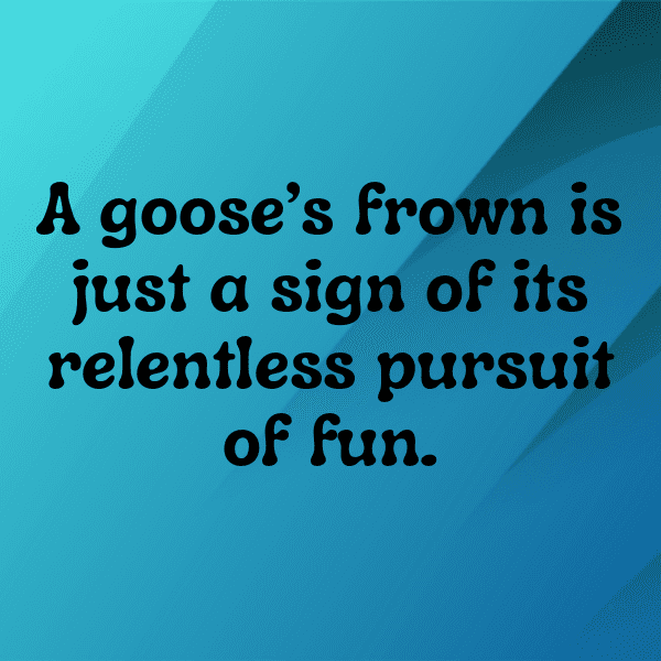 Goose Captions Photo For Instagram-3A3Ltn