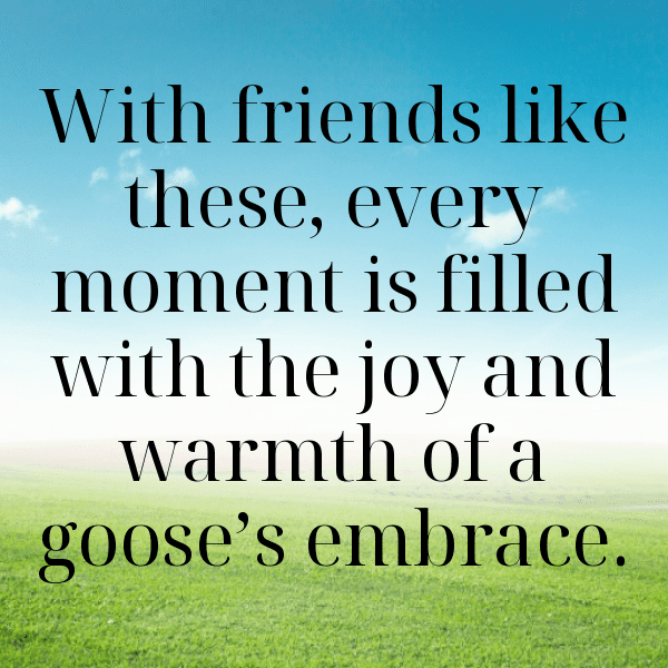 Goose Captions Photo For Instagram-HOB7do