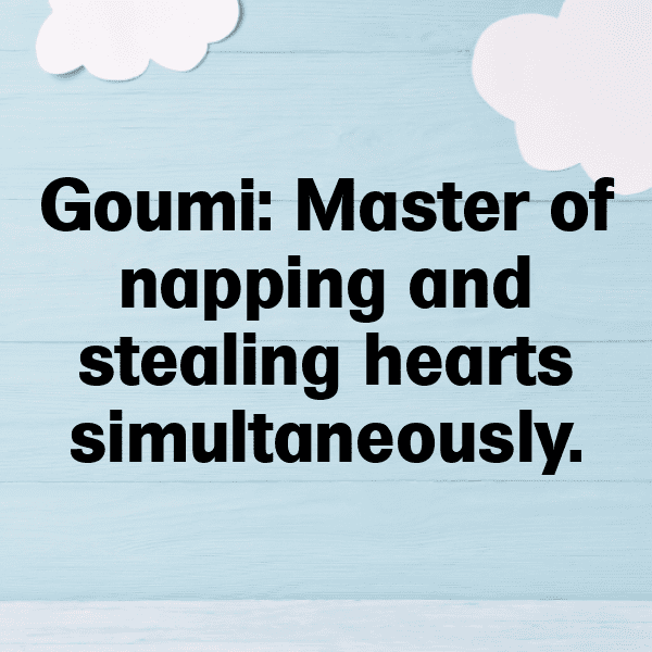 Goumi Captions Photo For Instagram-Y05Fmi