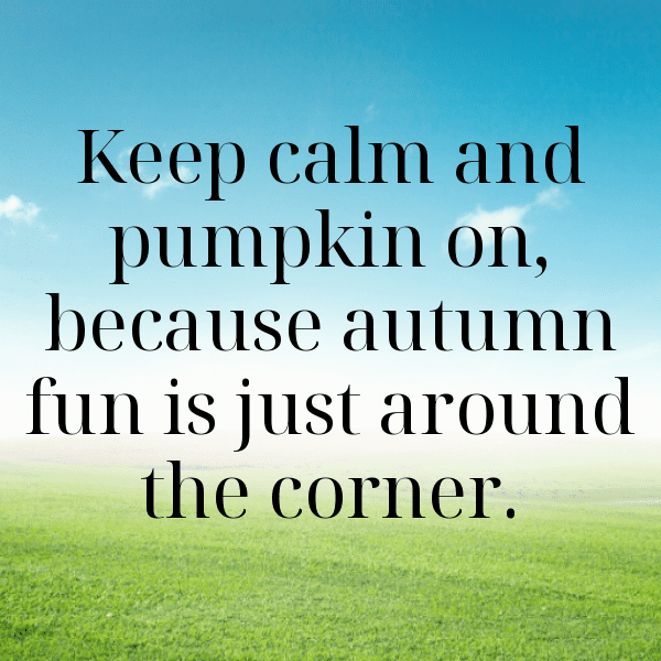 Gourd Captions Image For Instagram-K93df8