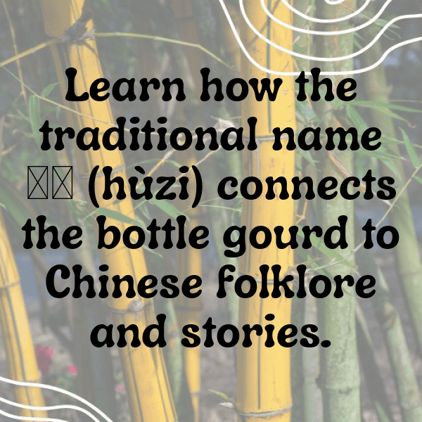 Gourd Captions Image For Instagram-PdoRDl