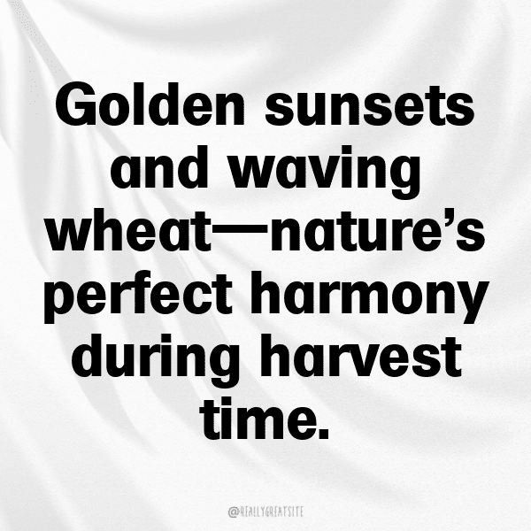 Gourd Captions Image For Instagram-YIHHKy