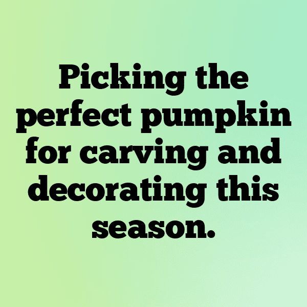 Gourd Captions Photo For Instagram-GZOftL