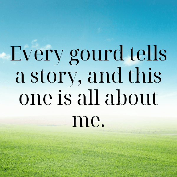 Gourd Captions Photo For Instagram-PWJQ9e