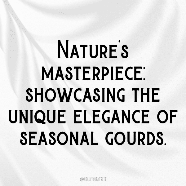 Gourd Captions Photo For Instagram-YSdzrM