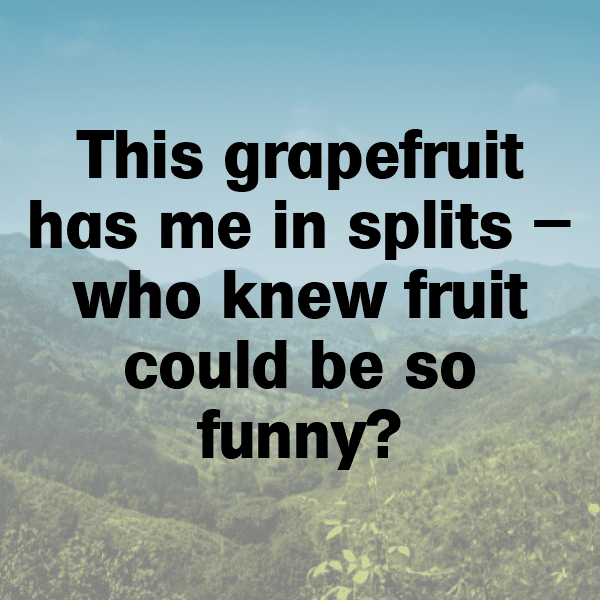Grapefruit Captions Image For Instagram-jsoj4e