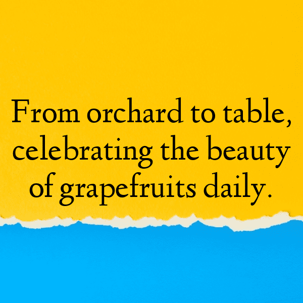 Grapefruit Captions Photo For Instagram-FJpneG