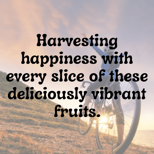 Grapefruit Captions Photo For Instagram-ktBNwF