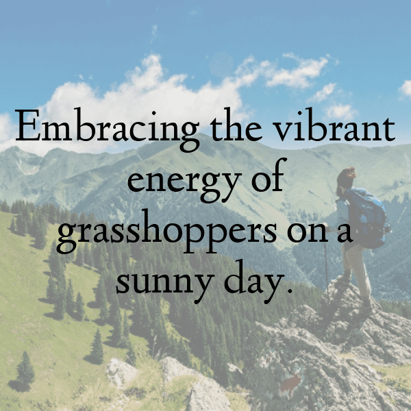 Grasshopper Captions Image For Instagram-llvL4O