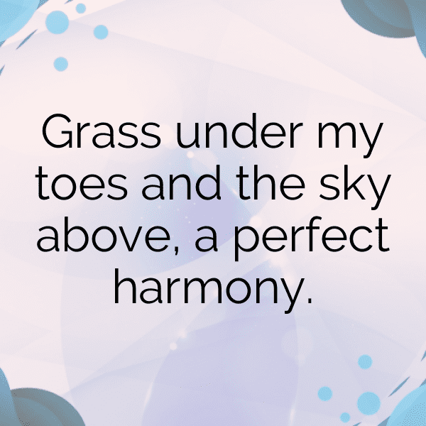 Grasshopper Captions Photo For Instagram-68eCH0