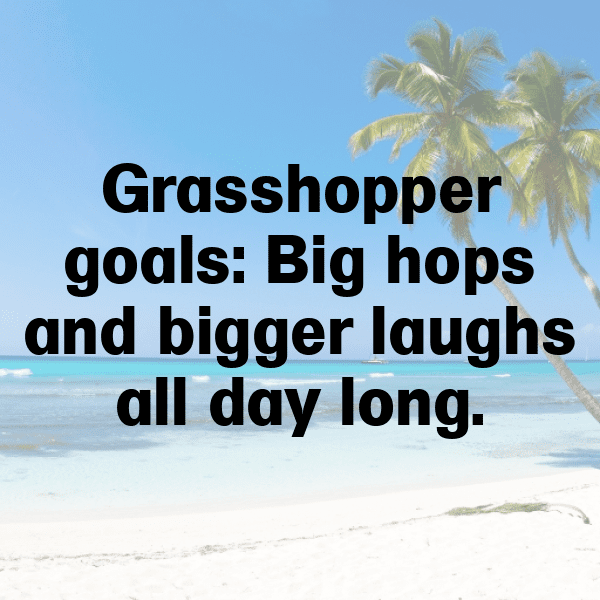 Grasshopper Captions Photo For Instagram-aTjn1x