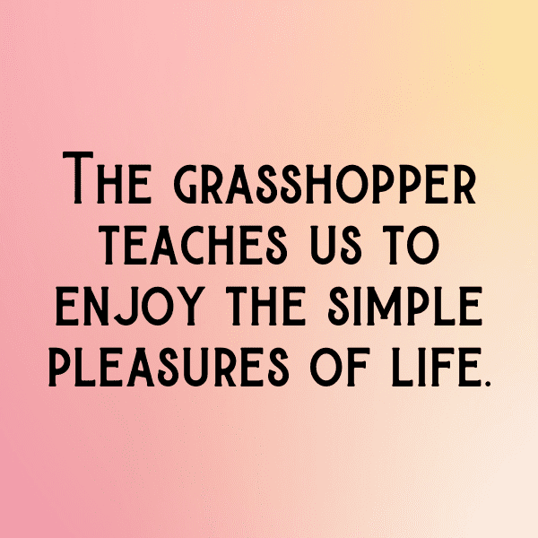 Grasshopper Captions Photo For Instagram-WBnX5M