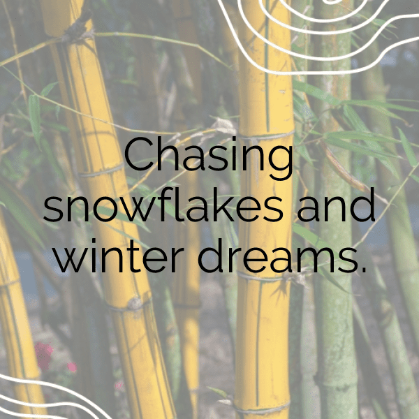 Green Chili Captions Image For Instagram-S8qGxI