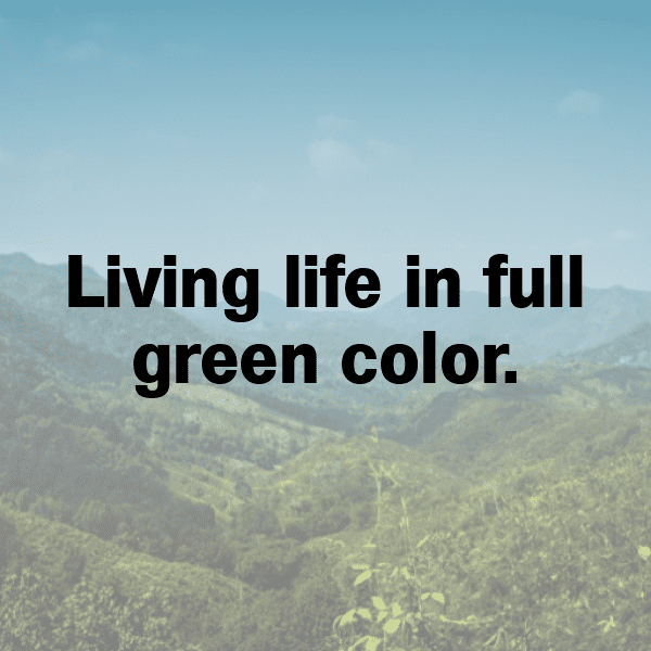 Green Onion Captions Photo For Instagram-XeRDDU