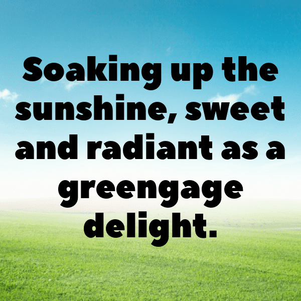 Greengage Captions Image For Instagram-0cKHis