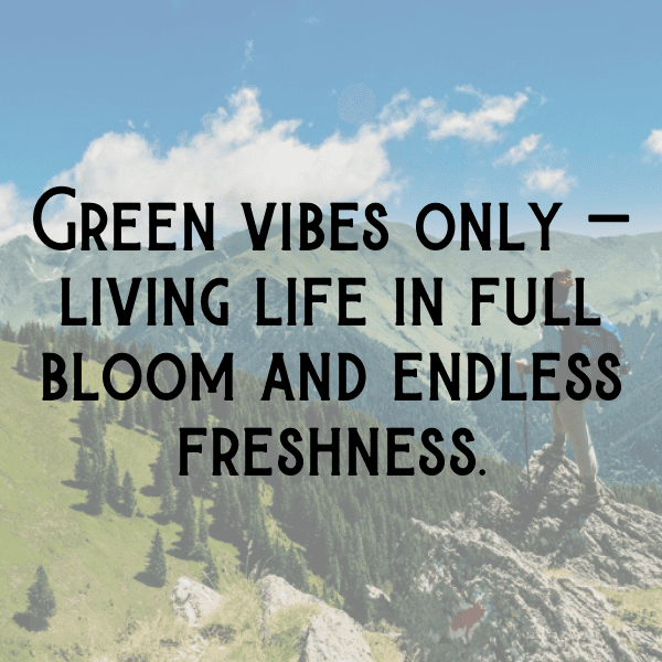 Greengage Captions Image For Instagram-f4Ii4e