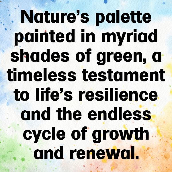 Greengage Captions Photo For Instagram-aDjFyg